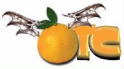 orangewings.jpg