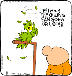 parrot.gif